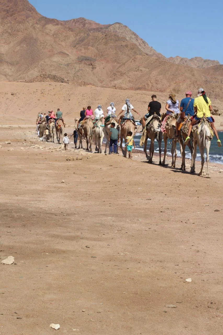Escursione in cammello nel Sinai