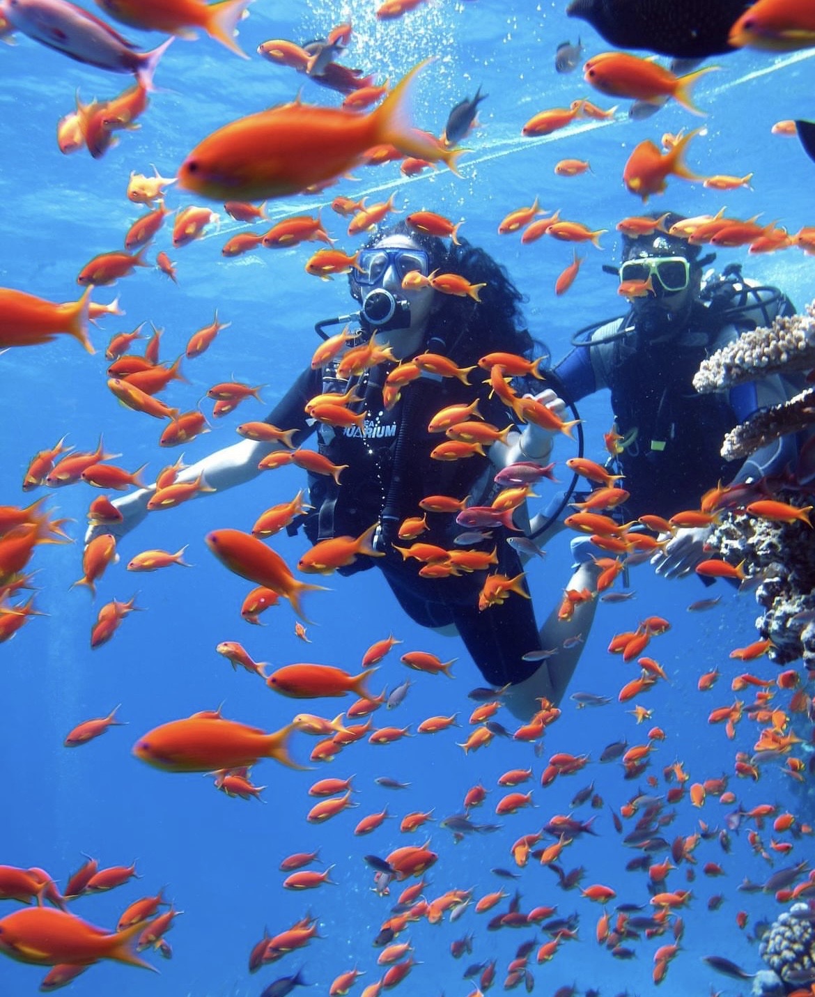 Immersione nel Mar Rosso